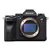 Sony a1 Image