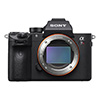 Sony a7R III (x2) Image